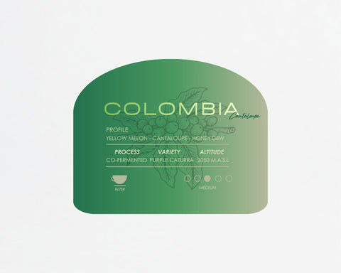 Colombia Cantaloupe